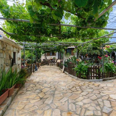 Dimitris'S Country House Agia  外观 照片