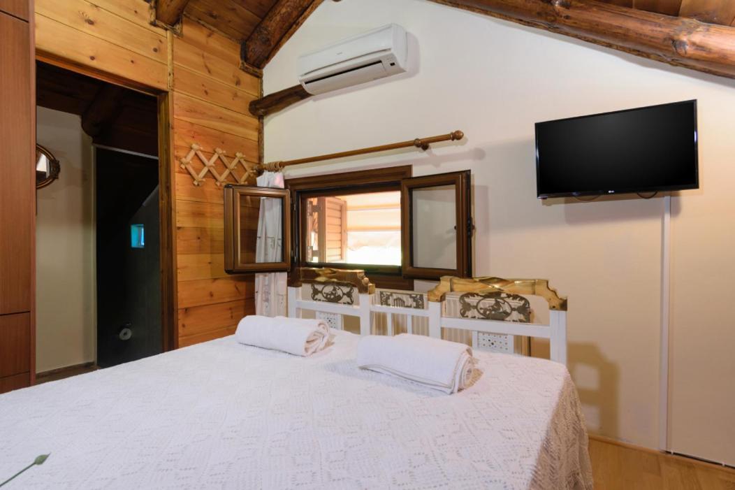 Dimitris'S Country House Agia  外观 照片