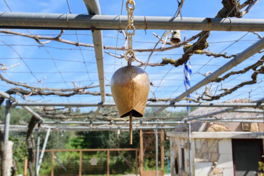 Dimitris'S Country House Agia  外观 照片