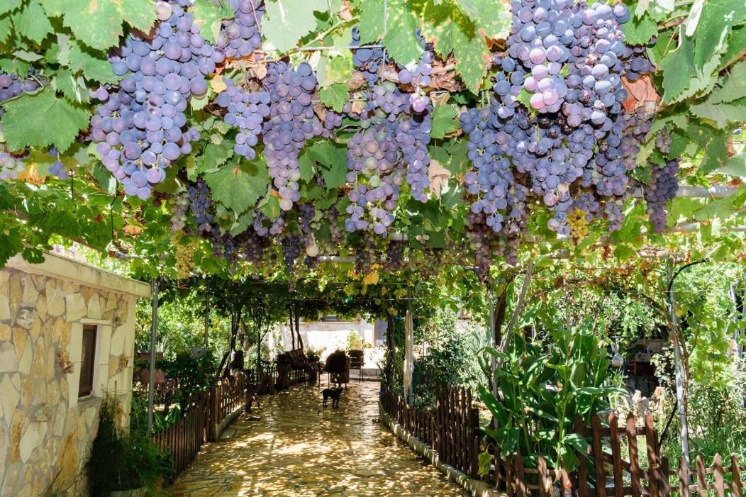 Dimitris'S Country House Agia  外观 照片