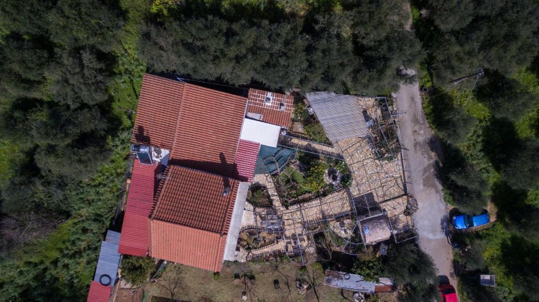 Dimitris'S Country House Agia  外观 照片