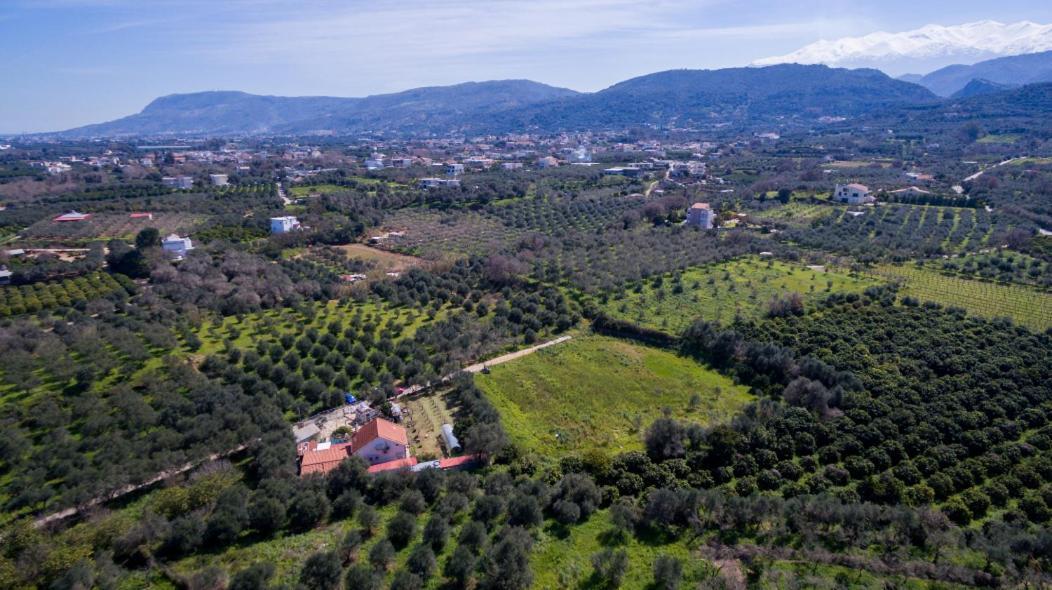 Dimitris'S Country House Agia  外观 照片