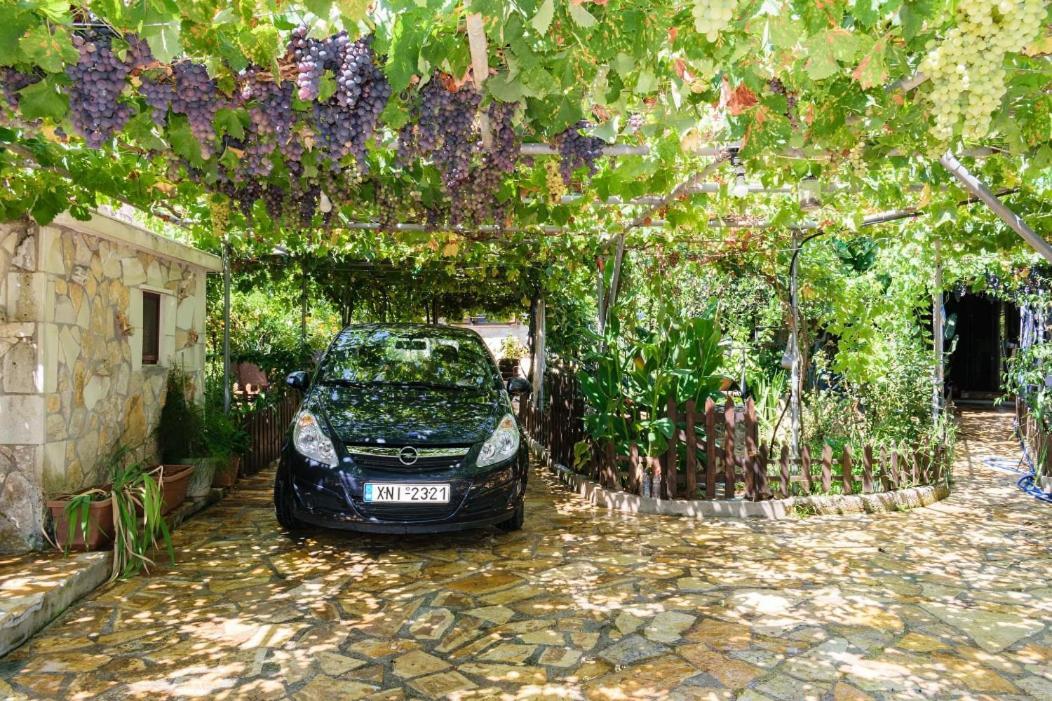 Dimitris'S Country House Agia  外观 照片