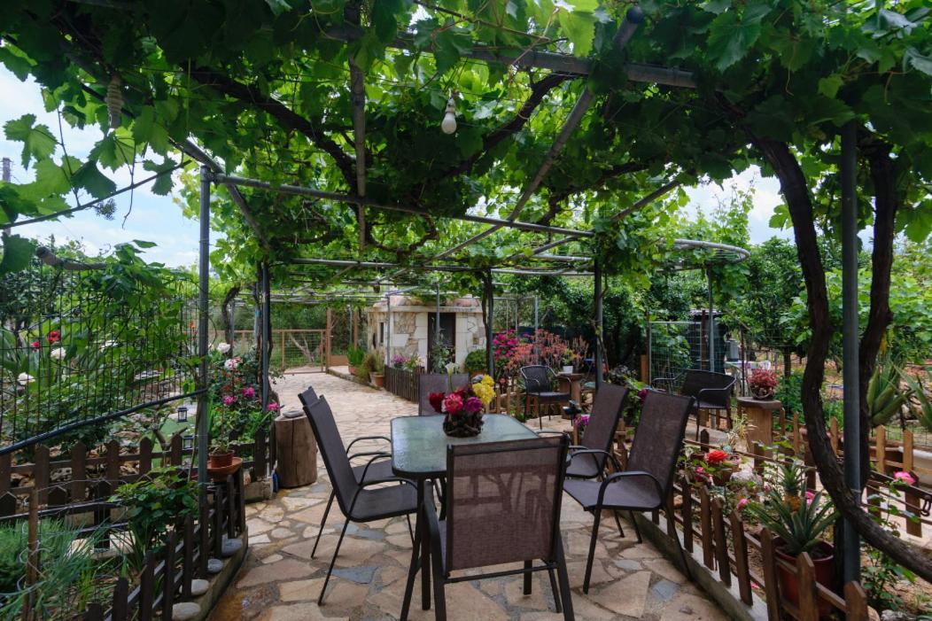 Dimitris'S Country House Agia  外观 照片