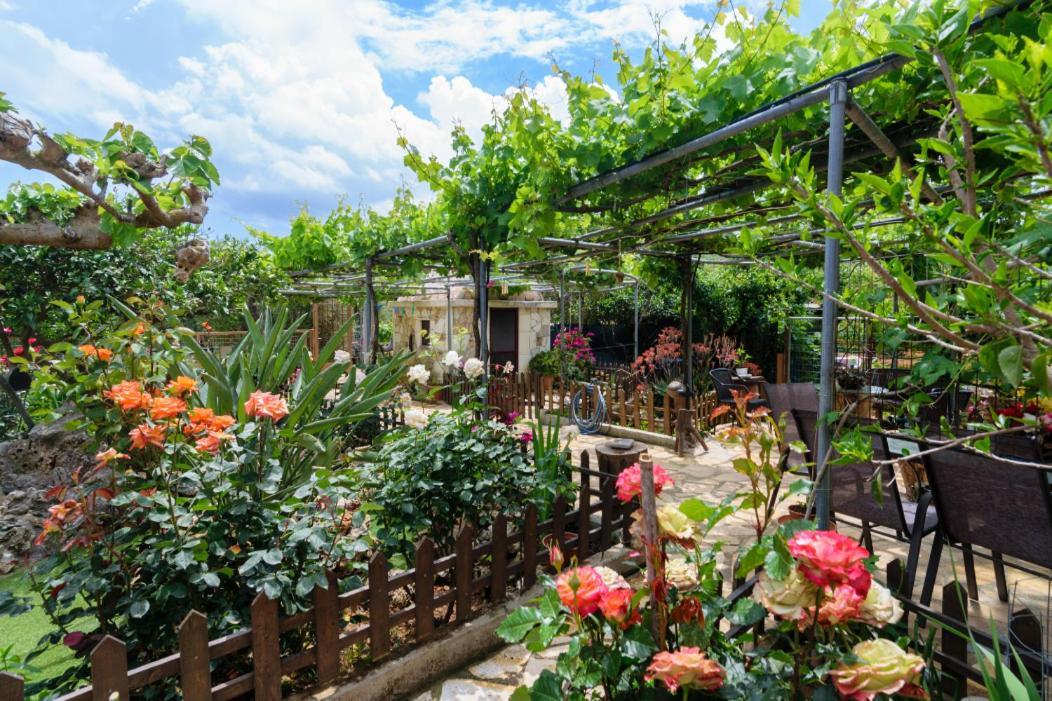 Dimitris'S Country House Agia  外观 照片