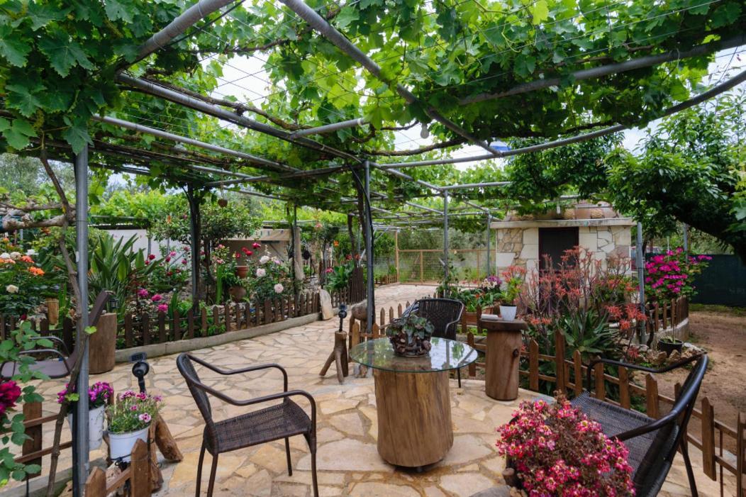 Dimitris'S Country House Agia  外观 照片