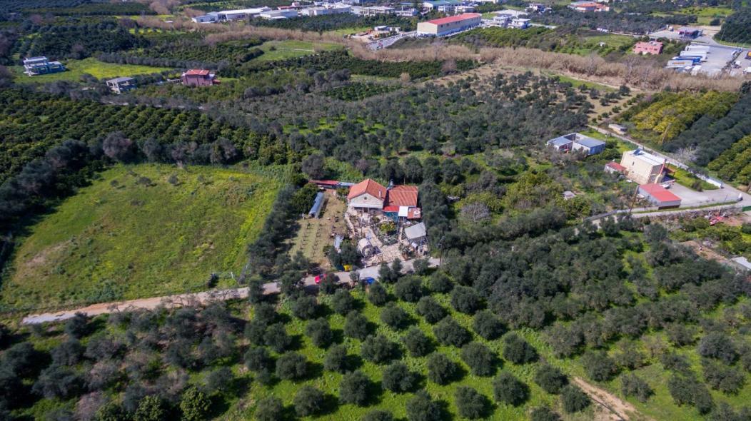 Dimitris'S Country House Agia  外观 照片