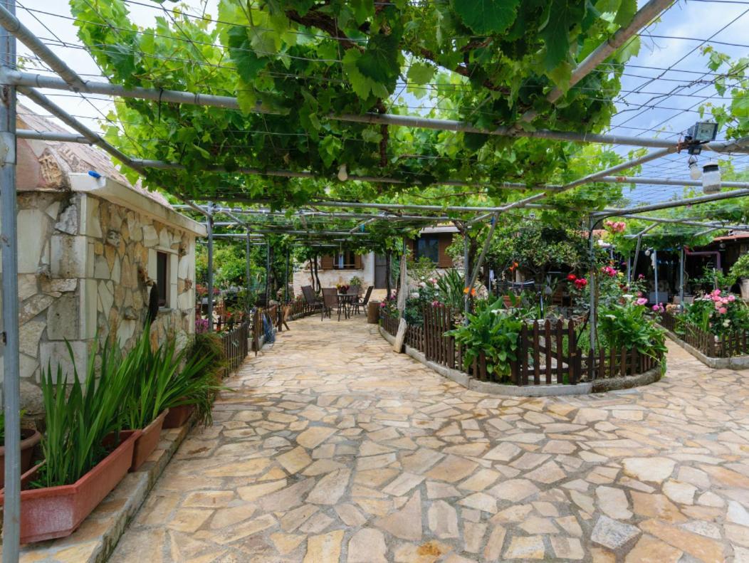 Dimitris'S Country House Agia  外观 照片